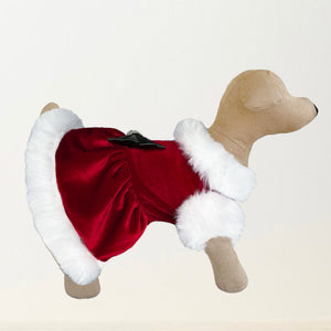 Santa Baby Dog Dress